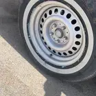جنوط للبيع أربع