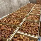 تمر القصيم سكري
