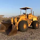 شيول للبيع