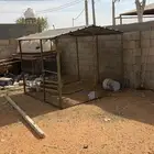 شبكين حمام للبيع