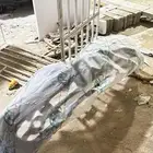 صدامات الالنترا 2006