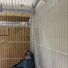 جوز كويكر الراهب اللون ازرق ( يوجد تبابي وتمارا )
