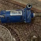 دنمو سمنان 2حصان