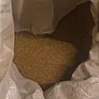 برسيم صبخاوي صافي