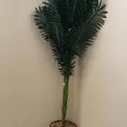 للبيع اثاث بيت وغساله وغرفة نوم