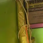 درع سيف كبير