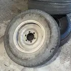 جنوط