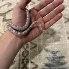 كرون سنيك
