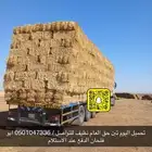 تبن قمح حق العام نظيف شد طيب الدفع عند الاستلام