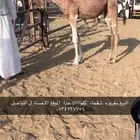 مفروده كفوا