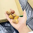تمر القصيم فاخر