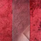 القصيم رياض الخبراء