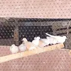 قمري