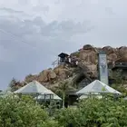 معلمة خصوصي
