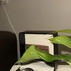 ساعه