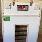 فقاسة يدويه نظيفة