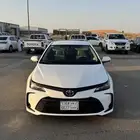 كورلاء شبه وكاله