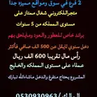 لكزس مشروع قائم للبيع كامل