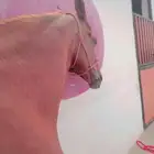 حصان شعبي