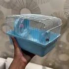 قفص هامستر مع جميع اغراضة