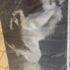 لوحة خيل ابيض في لوحة سوداء