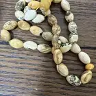 مسباح كهرب بولوني