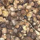 تمر علف للبيع