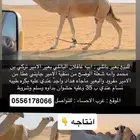 بعير اوضح