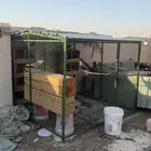 شبك بقلاوه 2 2
