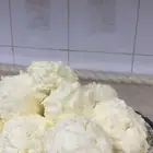 زبده بقر. مضمونه شغل بيت