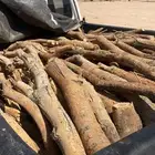 صندوق غماره س م و