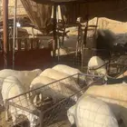 طليان جبره طايفيه