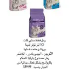 رمل قطط