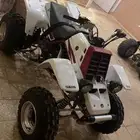 بانشي