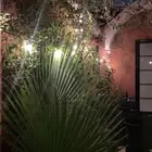 سكن نسائي