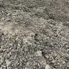 سماد بقر