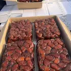 تمر اخلاص مكبوس 8 كيلو