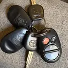 سيكويا ليمتد فل ابيض