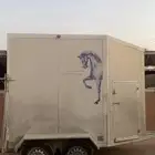 نقل خيل جميع انحاء المملكه