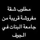 مطلوب شقة مفروشة