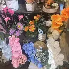 احتاج شقه للإيجار عائله صغيره