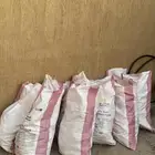 خبز