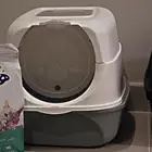 اغراض قطط بسس للبيع