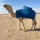 بعير رماني ولد بعير بن قريع