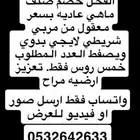 جذعات صنف