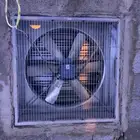 للبيع مروحه إيطاليه و خليه مع القش
