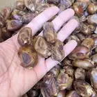 تمر خلاص درجة اولى