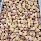 تمر رشوديه ملكي جودة رقم واحد