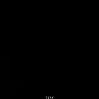 مطلوب افجي بسعر معقول