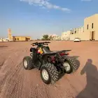 دباب سويدي 100